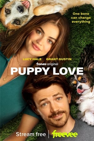Regarder Puppy Love en streaming complet
