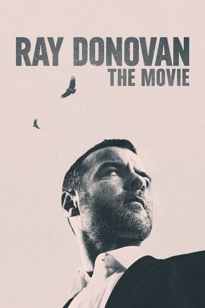 Regarder Ray Donovan : Le Film en streaming complet