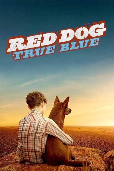 Regarder Blue, mon chien d'Australie en streaming complet