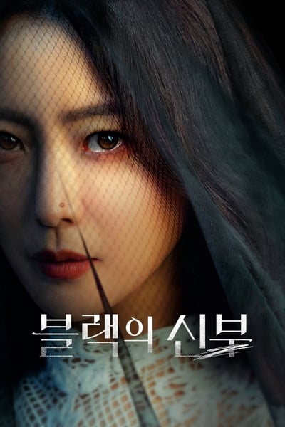 Regarder Remarriage & Desires - Saison 1 en streaming complet