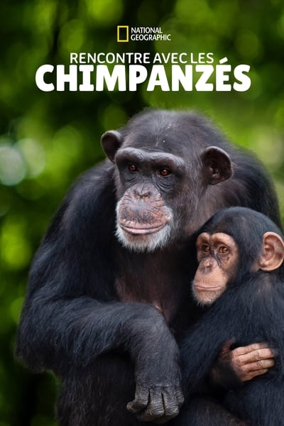 Regarder Rencontre avec les chimpanzés (Meet the Chimps) - Saison 1 en streaming complet