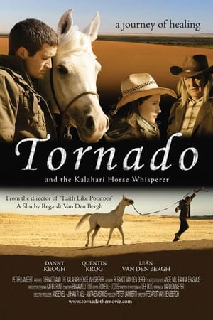 Regarder Tornado - L'étalon du désert en streaming complet
