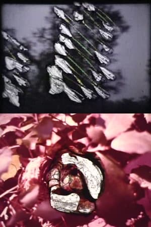 Regarder Reincarnation en streaming complet