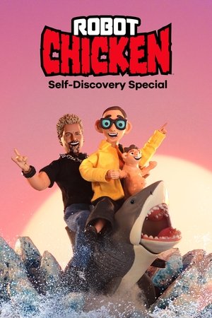 Regarder Robot Chicken: Self-Discovery Special en streaming complet