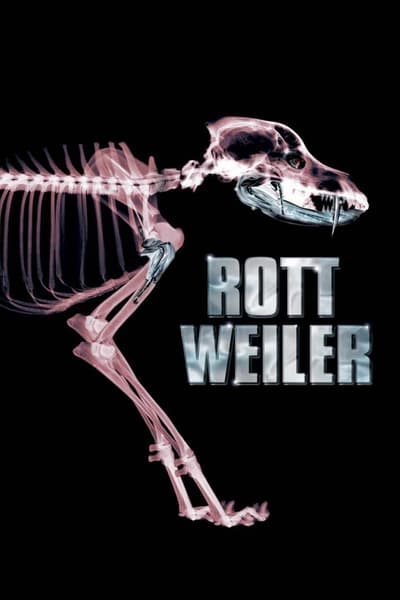 Regarder Rottweiler en streaming complet