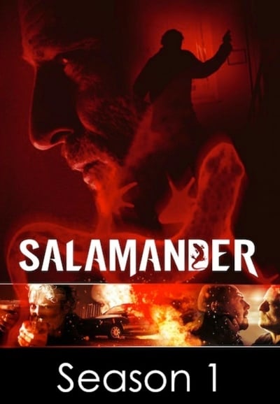 Regarder Salamander - Saison 1 en streaming complet