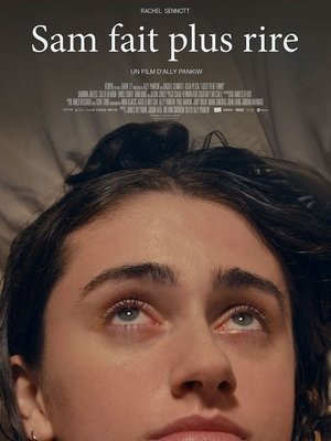 Regarder Sam fait plus rire en streaming complet