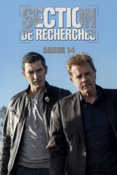 Regarder Section de recherches - Saison 14 en streaming complet