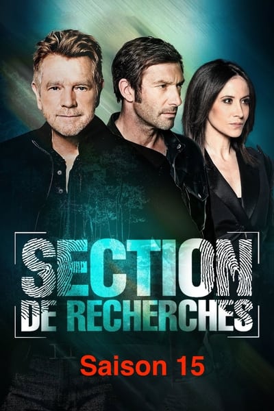 Regarder Section de Recherches - Saison 15 en streaming complet