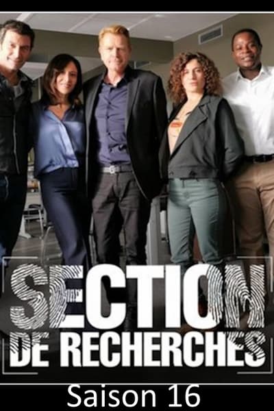 Regarder Section de Recherches - Saison 16 en streaming complet