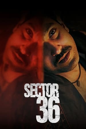 Regarder Secteur 36 en streaming complet