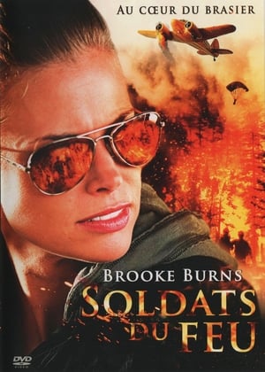 Regarder Soldats du feu en streaming complet