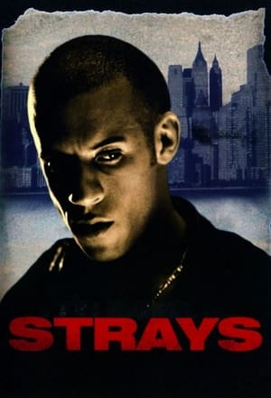 Regarder Strays en streaming complet