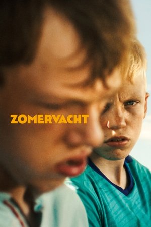 Regarder Summer Brother en streaming complet