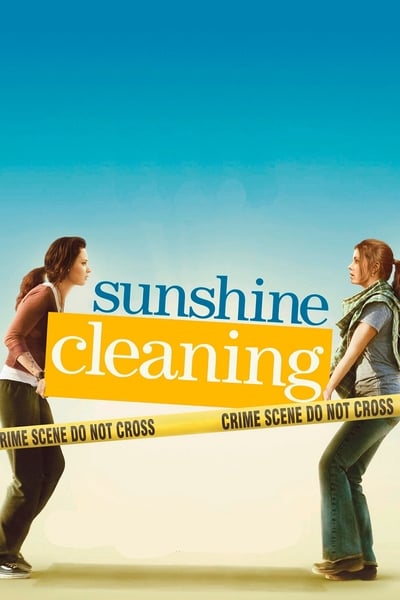 Regarder Sunshine Cleaning en streaming complet