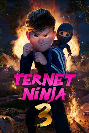 Regarder Ternet Ninja 3 en streaming complet