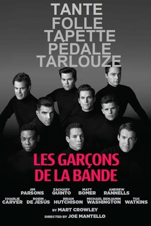 Regarder The Boys in the Band en streaming complet