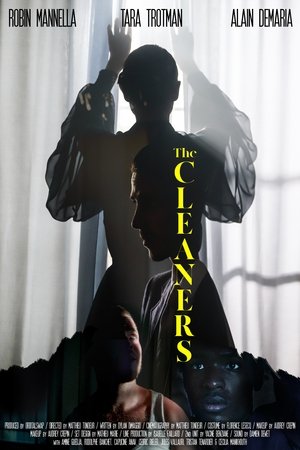 Regarder The Cleaners en streaming complet