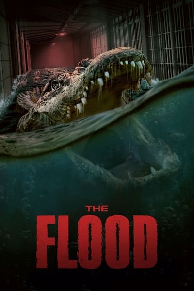 Regarder The Flood en streaming complet