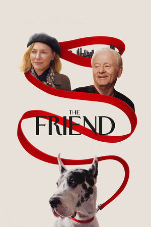 Regarder The Friend en streaming complet