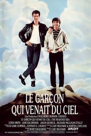 Regarder Le Garçon qui venait du ciel en streaming complet