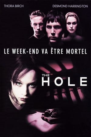 Regarder The Hole en streaming complet