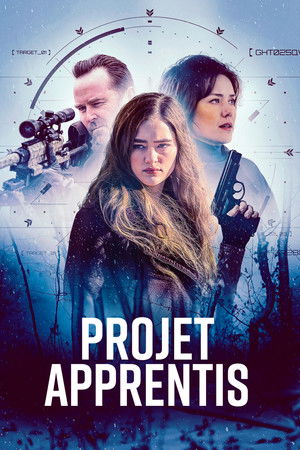 Regarder The Internship en streaming complet