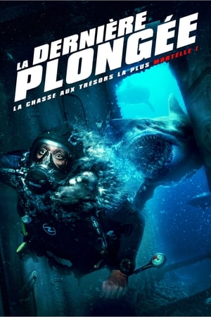 Regarder La Dernière Plongée en streaming complet