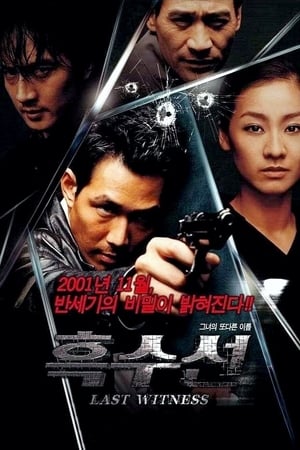 Regarder The Last Witness en streaming complet