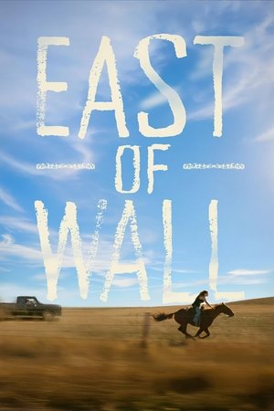 Regarder The New West en streaming complet