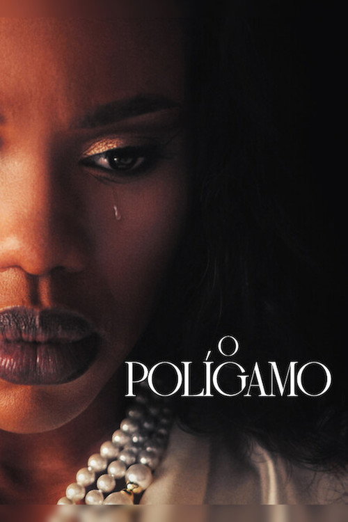 Regarder The Polygamist - Saison 1 en streaming complet