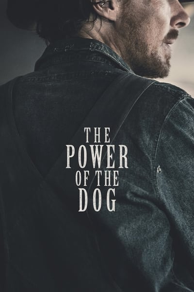 Regarder The Power of the Dog en streaming complet