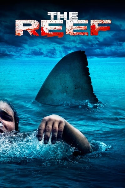 Regarder The Reef en streaming complet