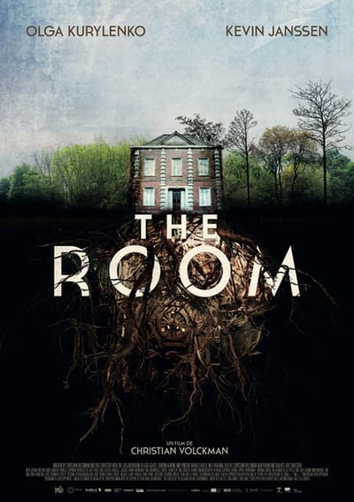 Regarder The Room en streaming complet