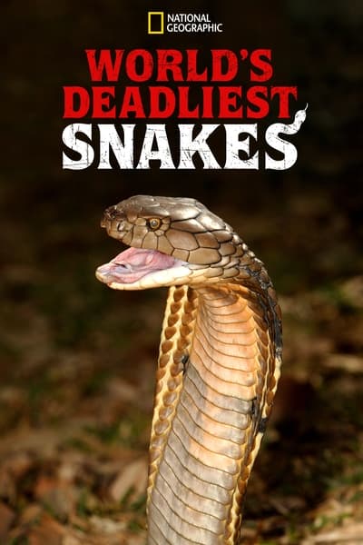 Regarder Le Serpent - Saison 1 en streaming complet
