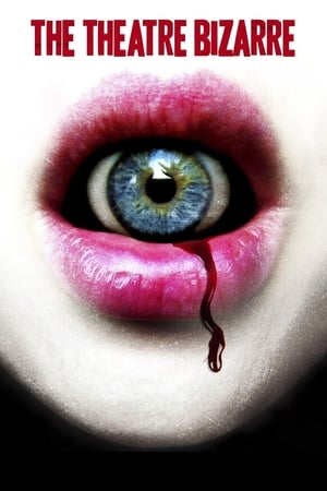 Regarder The theatre bizarre en streaming complet