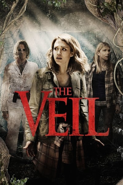 Regarder Le Voile du secret en streaming complet