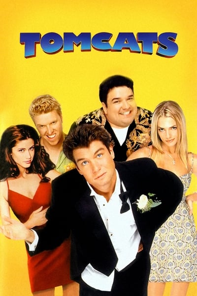 Regarder Tomcats en streaming complet