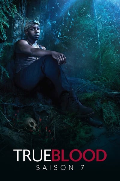 Regarder True Blood - Saison 7 en streaming complet