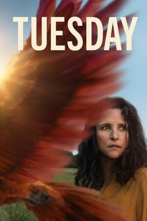 Regarder Tuesday en streaming complet