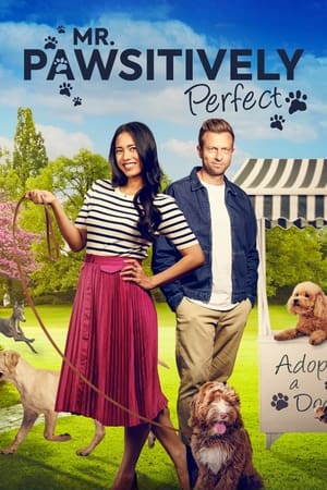 Regarder Un amour de chien en streaming complet