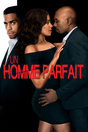 Regarder Un homme parfait en streaming complet