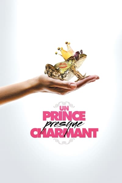 Regarder Un Prince (presque) charmant en streaming complet