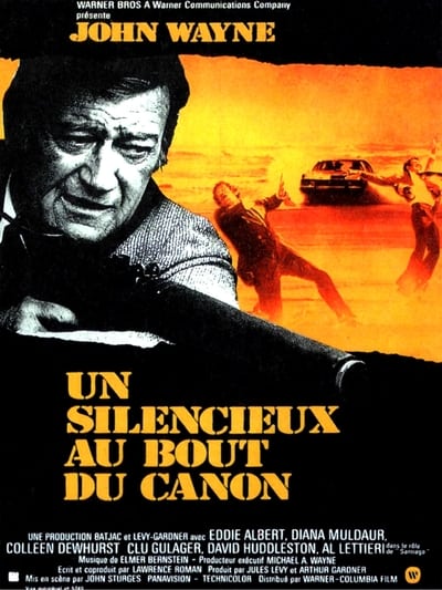 Regarder Un silencieux au bout du canon en streaming complet
