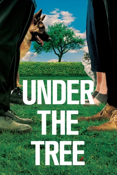 Regarder Under the Tree en streaming complet