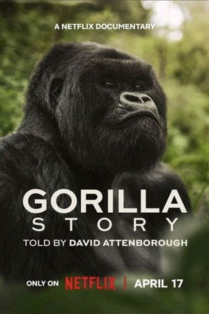 Regarder Une histoire de gorilles avec David Attenborough en streaming complet