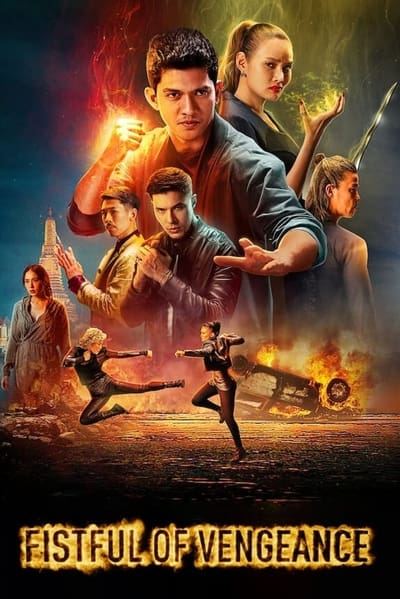 Regarder Vengeance aux poings en streaming complet