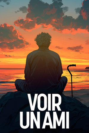 Regarder Voir un ami en streaming complet