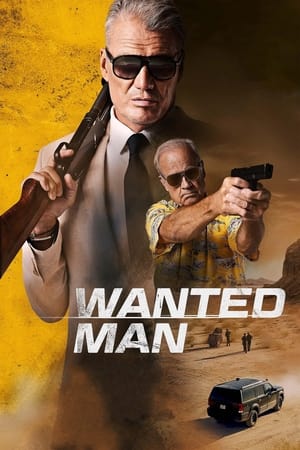 Regarder Wanted Man en streaming complet