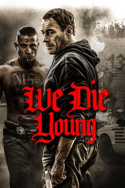 Regarder Le Sang du Cartel en streaming complet